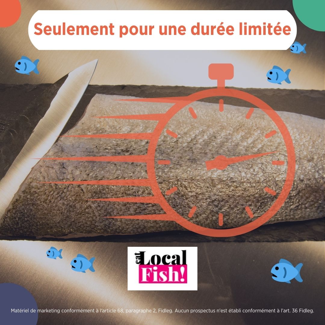 Seulement pour une durée limitée : votre chance avec Localfish !