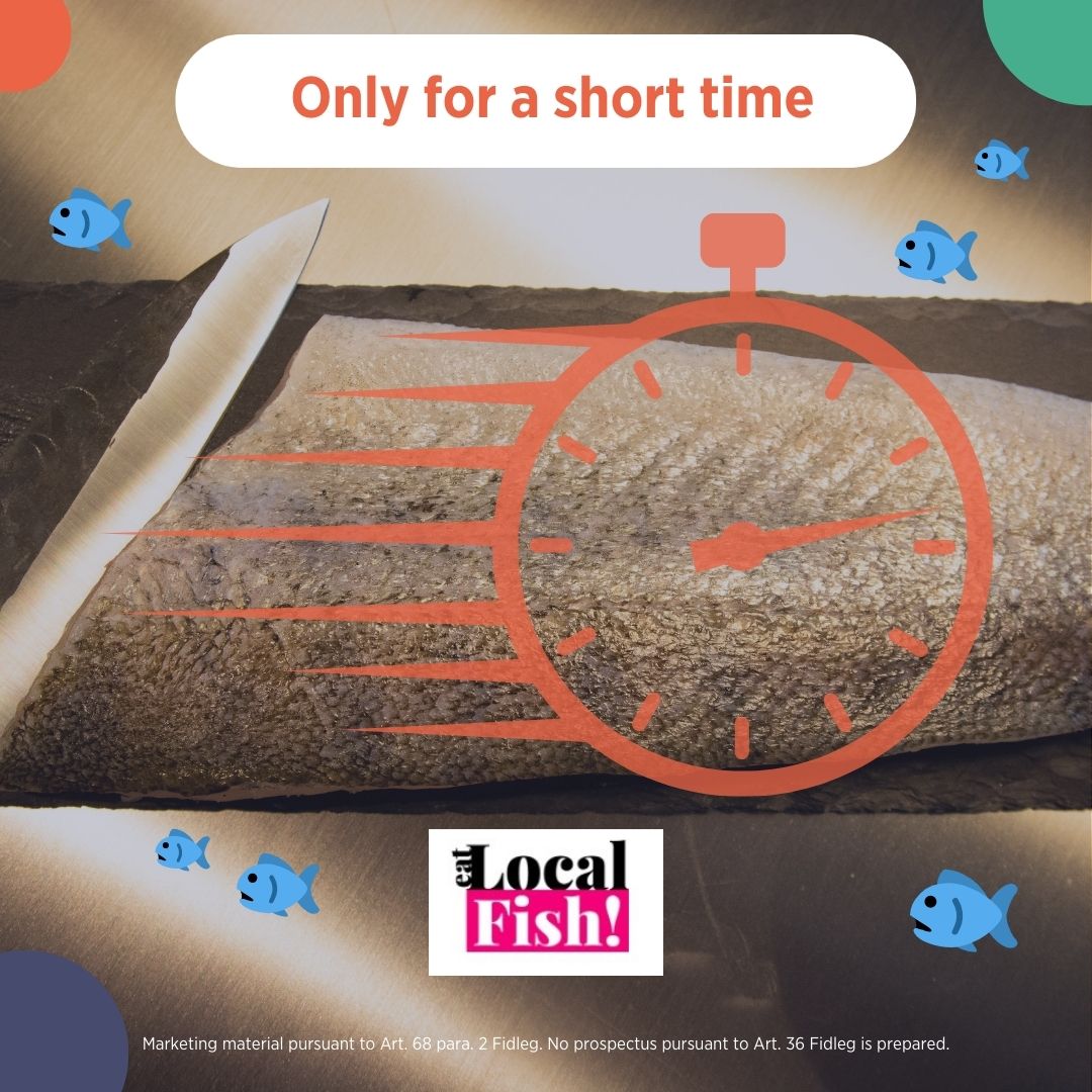 Only for a short time: Your chance for Localfish!