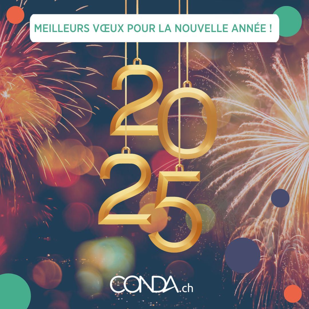 🎆✨ À une nouvelle année pleine de succès - Meilleurs vœux pour 2025 ! ✨🎆